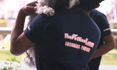 ThePetnest: The perfect home of care for your pets