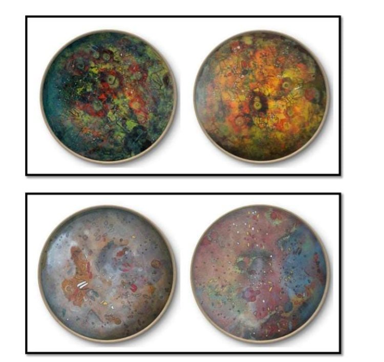 Nero Art Hub Presents "The Masks We Wear" – A Group Art Exhibition Exploring Identity and Authenticity